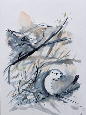 Art Academy - Din online kunstskole